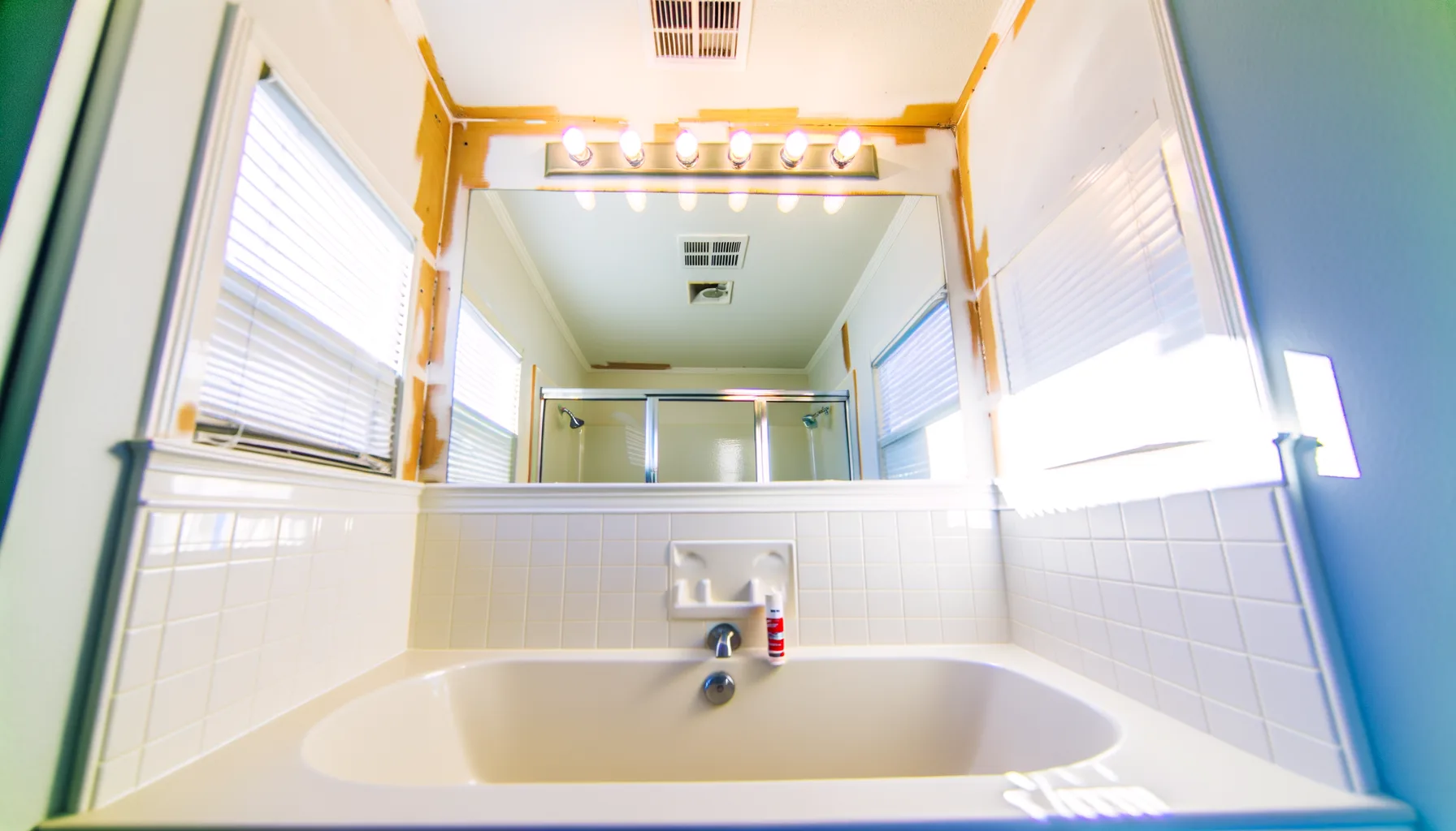 Mold Remediation - Project 3