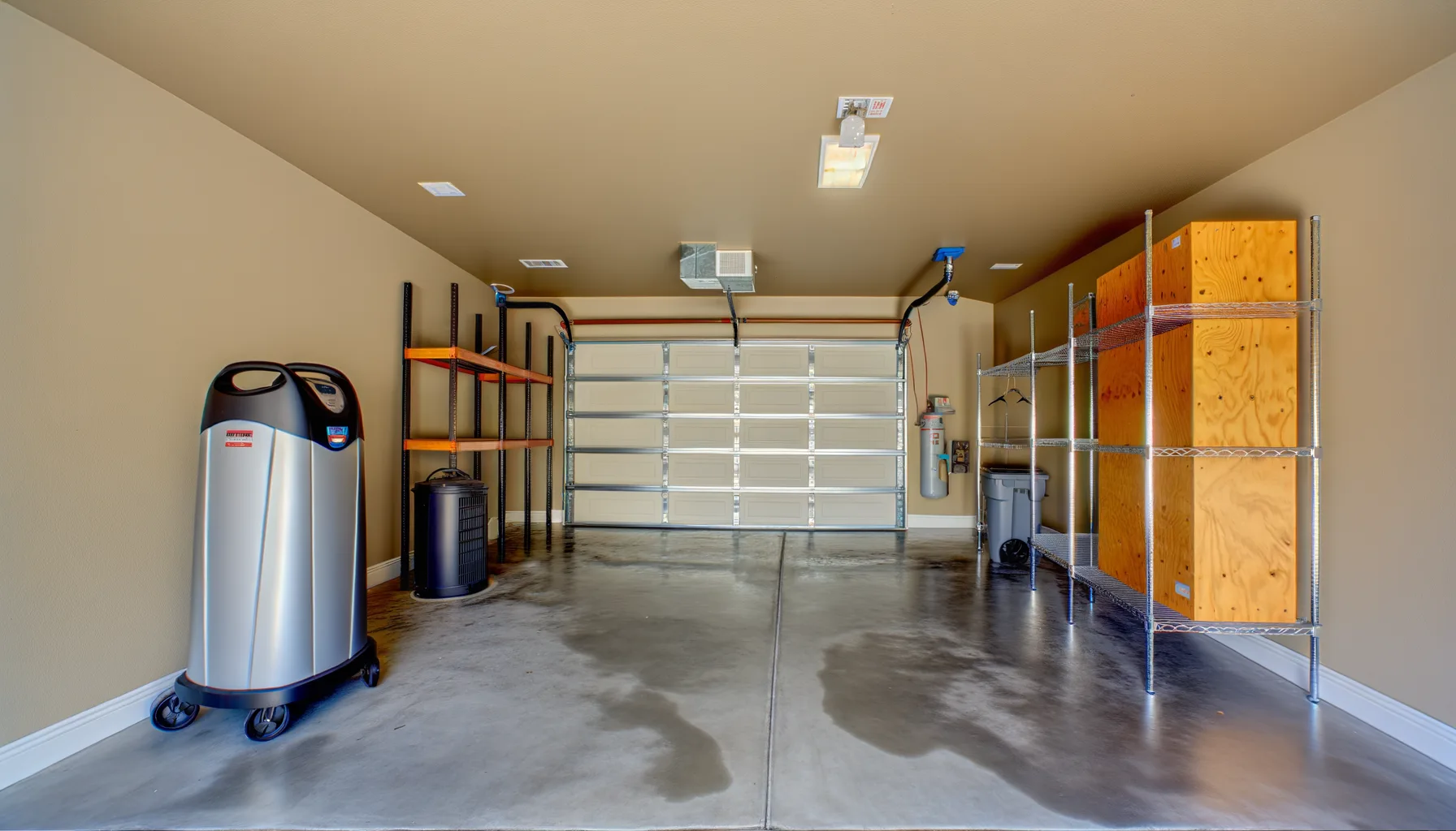 Mold Remediation - Project 4